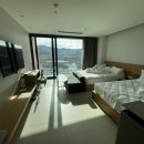 펫 패밀리 | 롯데호텔앤리조트 김해 펫 패밀리 더블더블 (애견동반 솔직후기, 강아지운동장)