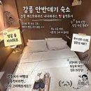 강릉 안반데기 숙소 별투어 뚜벅이 게스트하우스 나나하우스 내돈내산 찐 솔직후기