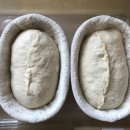 밀꽃이야기 이미지