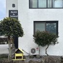 Betti in Aewol | [제주] 베띠인애월 : 애월 아늑한 감성 숙소 102호 브라이덜 샤워 후기