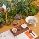 중(집)1-11 이미지