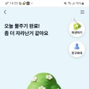 로또PC랜드 이미지