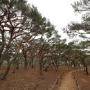 서포리 관광지 오토캠핑장 이미지