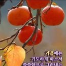 "고양시 '국립암센터'를 찾아서"＜2023.10.11(수)＞ 이미지