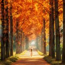 산림자원연구소 이미지