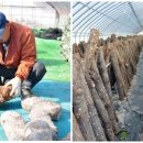 김영규농장 이미지