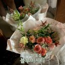 블루미시티 이미지