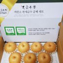 천애금수