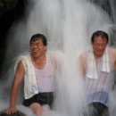 장동리 계곡 이미지
