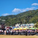 축제장이 난리여 이미지