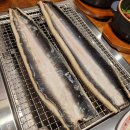 베풀 장어 이미지