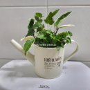 다육농가민박 이미지