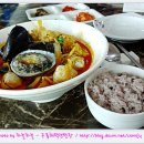구룡하우스 티스토리