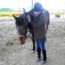 부안아리울승마장 이미지