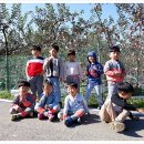 미원초교 병설유치원 이미지