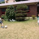 브레인유치원 이미지