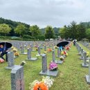 전몰군경유족회 서구지회 Daum카페