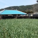 하가리사무소 이미지