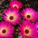 압구정중학교 이미지