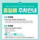 쭈꾸미박사