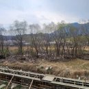 용화면사무소 이미지
