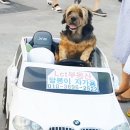 LCT부동산공인중개사사무소 이미지
