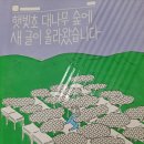 숲에새