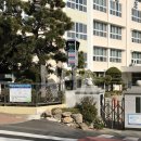 수안초등학교 이미지