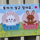 동백국수집 티스토리