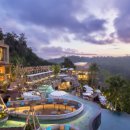 호텔정글(jungle) 이미지