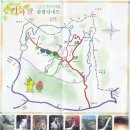 석 정 관 이미지