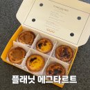 대전 갈마동 에그타르트 맛집 플래닛 에그타르트 솔직후기