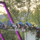 수변공원 (은빛개울공원) | 오산 고인돌공원 장미축제 주차 꿀팁 | 금계국과 장미 실시간 개화 후기