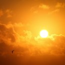 신평1동-12 이미지