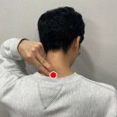 천안자생한방병원 이미지