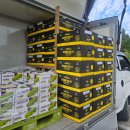 청원과일마트 이미지