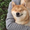 주옥같은인생