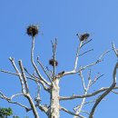 시티원부동산중개 이미지