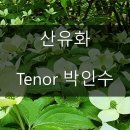 산에는 꽃이피네 이미지