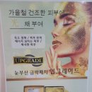 미니네테라피