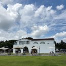순용목장 | [제주] 승마·먹이주기·이색자전거 체험 가능한 서귀포 카페 &#39;목장카페 밭디&#39; 방문 후기!