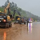 완도23호 이미지