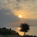 카페보리 - 송파구 충민로 184 | 카페보리