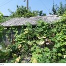 죽전리 경로당 이미지