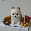 샘펫스튜디오 이미지