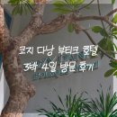 cozy24(코지) | [다낭] 코지 다낭 부티크 호텔 3박 4일 후기 (Cozy Danang Boutique Hotel) / 조식 뷔페 / 픽업 제공...