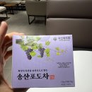 건강차, 송산포도건강차 와인레드티 구매 후기
