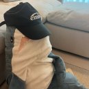 (주)부산트랩 이미지