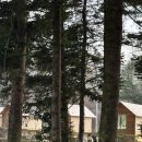 YMCA | [서울 근교 글램핑] 도봉산 피카부 YMCA 글램핑장 후기