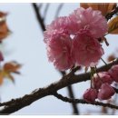 남동국민체육센터 이미지